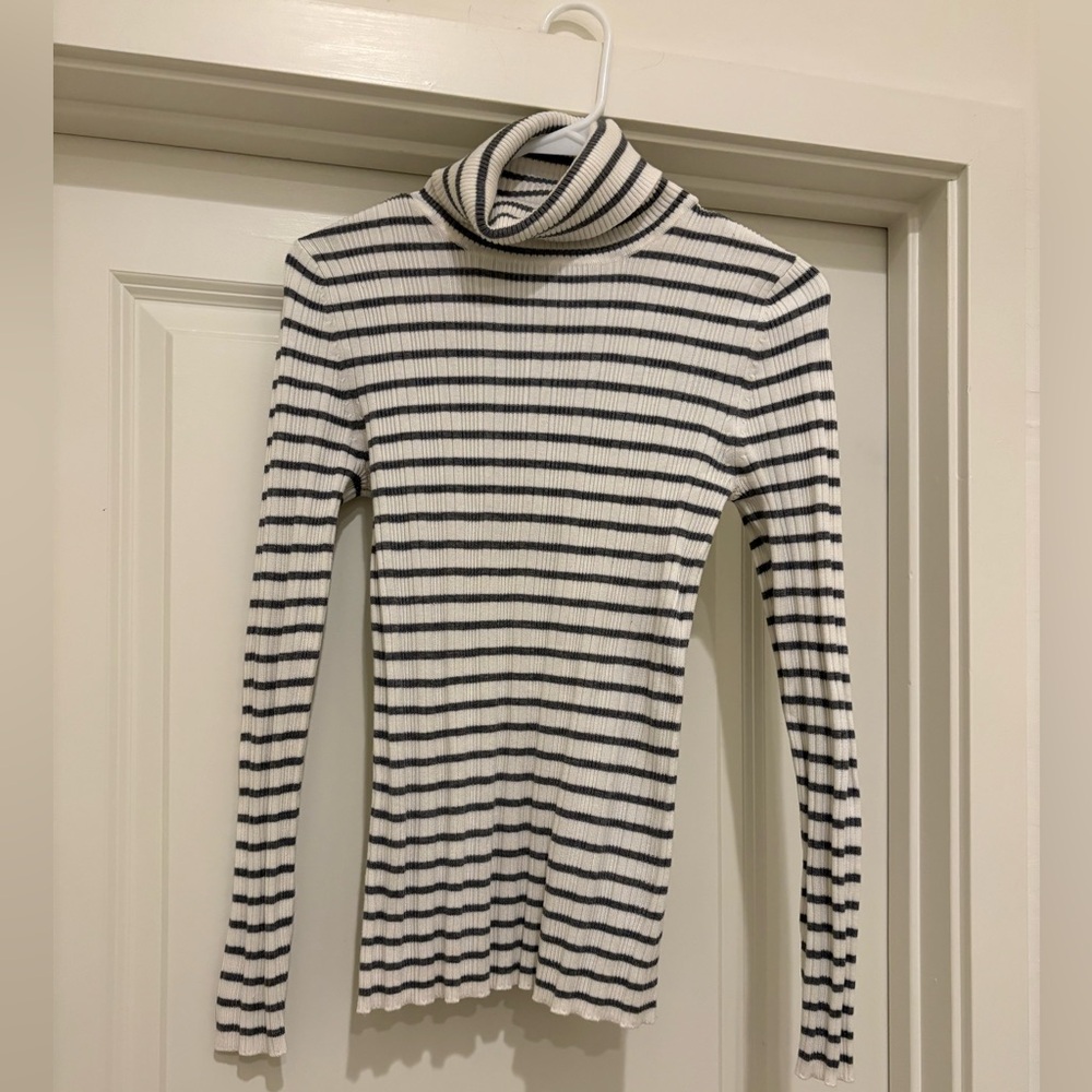 Striped Turtleneck Sweater